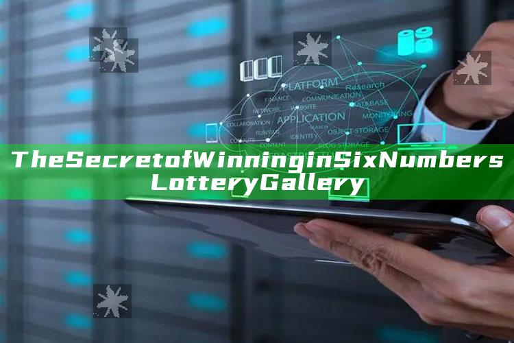 The Secret of Winning in Six Numbers Lottery Gallery_行动计划快速执行