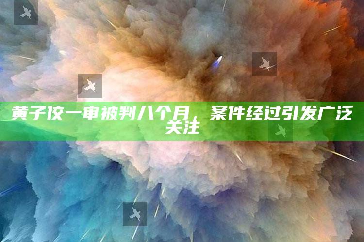 黄子佼一审被判八个月，案件经过引发广泛关注_精选方案全面优化-精英版v69.14.99.50