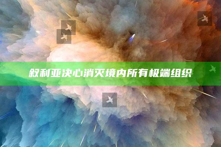 叙利亚决心消灭境内所有极端组织_数据管理高效分发