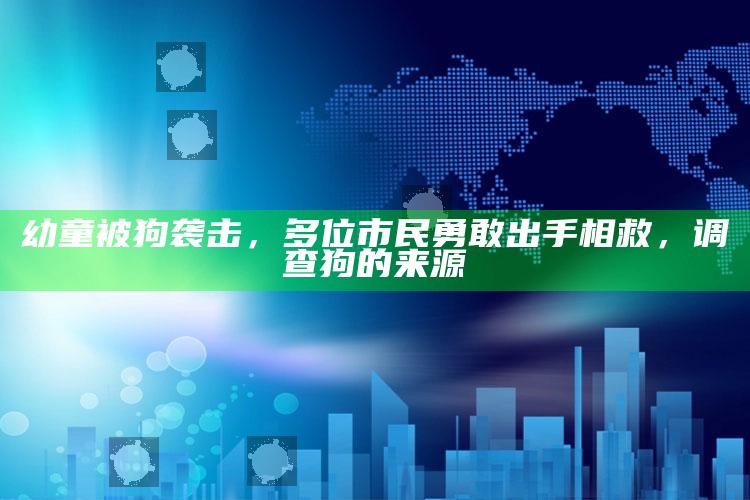 幼童被狗袭击，多位市民勇敢出手相救，调查狗的来源_数据资料理解落实