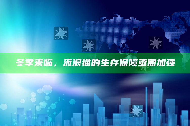 冬季来临，流浪猫的生存保障亟需加强_答案理解快速落实-精英版v50.14.18.70