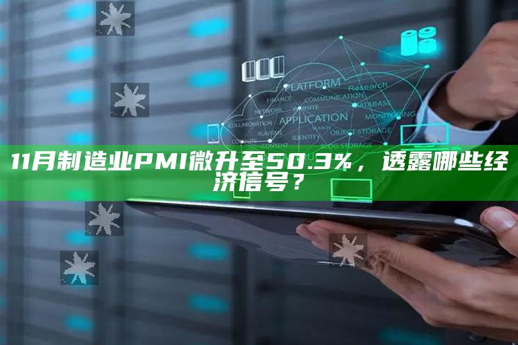 11月制造业PMI微升至50.3%，透露哪些经济信号？_任务清单精准拆解-官方版v34.38.20.14